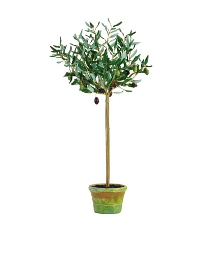 Potted Olive Leaf, Burgundy/Green