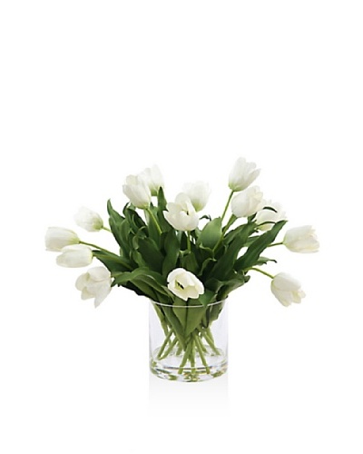 Winward Tulip In Glass [White]