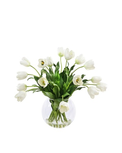 Winward Tulip in Glass, White