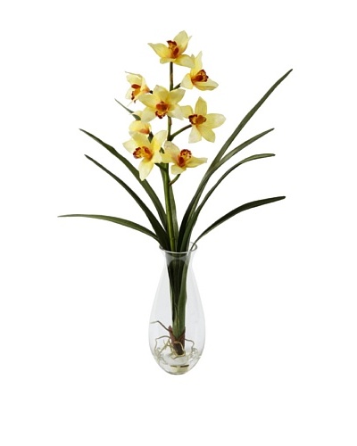 Winward Cymbidium Orchid in Vase, Yellow