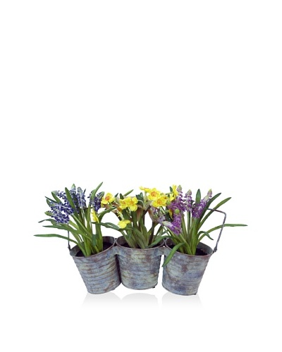 Winward Petite Bulb Pail Planter, Multicolor