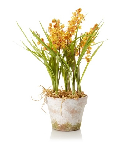 Winward Faux Cymbidium in Clay Pot, Yellow