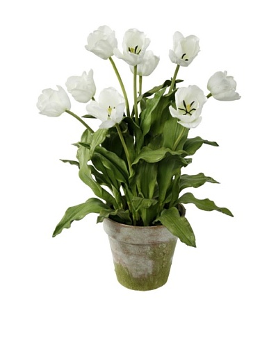 Winward Potted Tulip Bushel