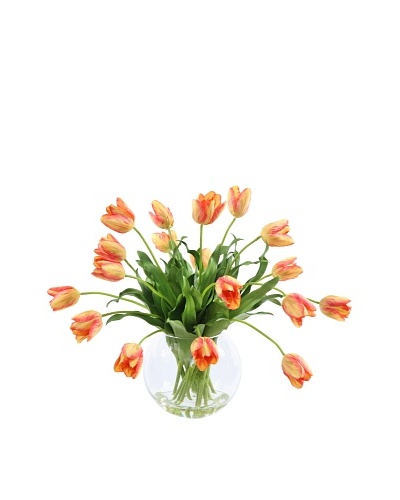 Winward Tulip in Glass, Gold Red