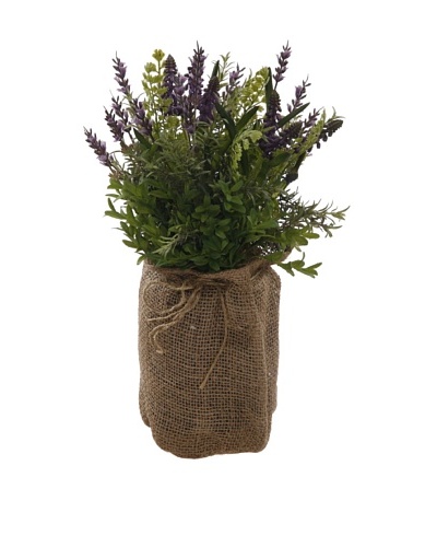 Winward Muscari Lavender In Burlap