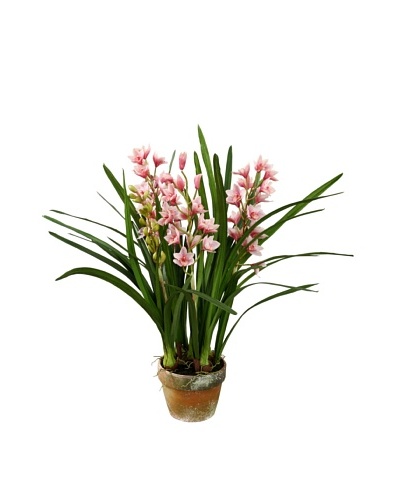 Winward Potted Faux Cymbidium, Mauve, Extra Large