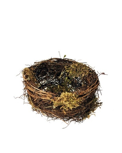 Winward Twig Bird Nest with Moss