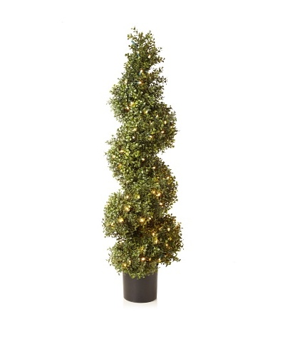 Winward Illuminated Boxwood Spiral Topiary